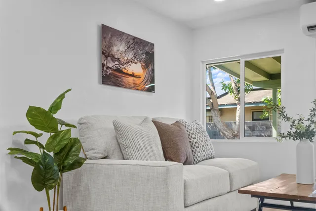 a living room with furniture flowerpot and a potted plant