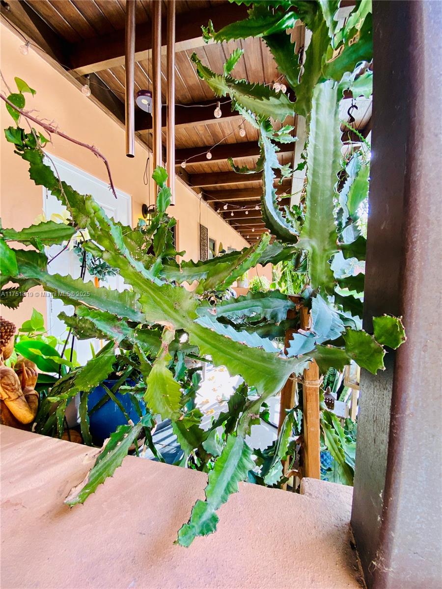 200 Azure Way Miami Springs, FL 33166 - Photo 22 of 54