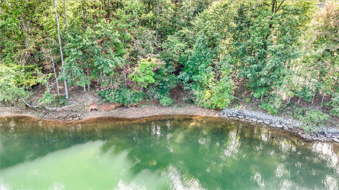 282 War Path Road Six Mile, SC 29682 - Photo 11 of 12 Gallery Image 11