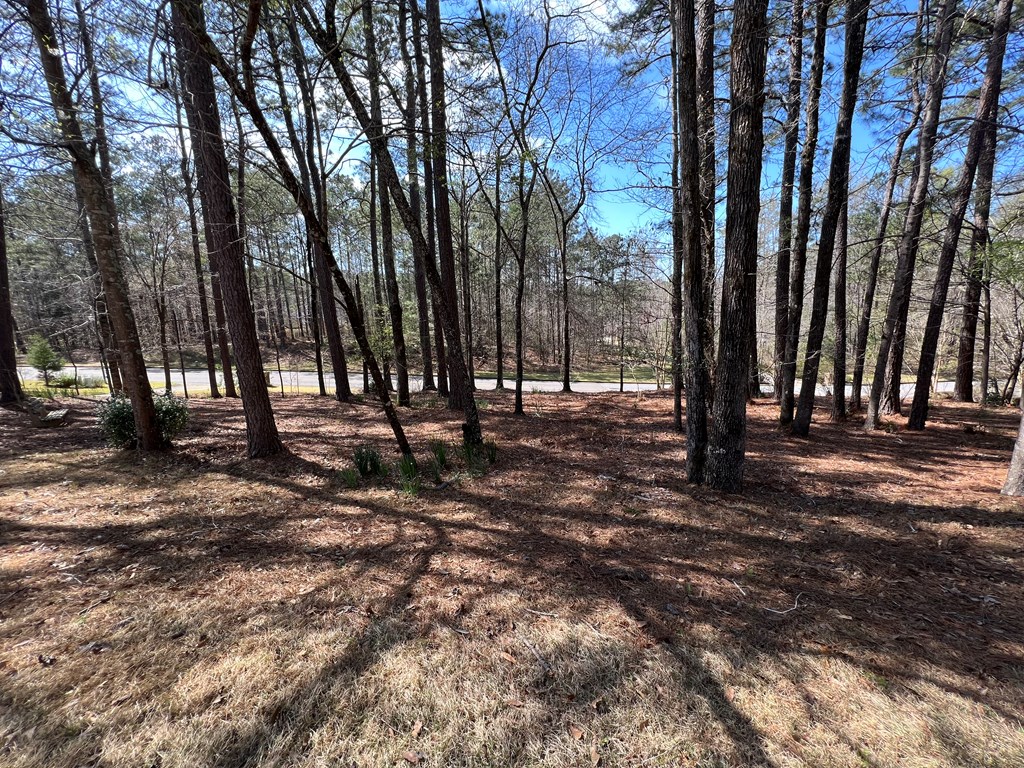 8878 Moore Road Columbus, GA 31904 - Photo 31 of 31 Gallery Image 31