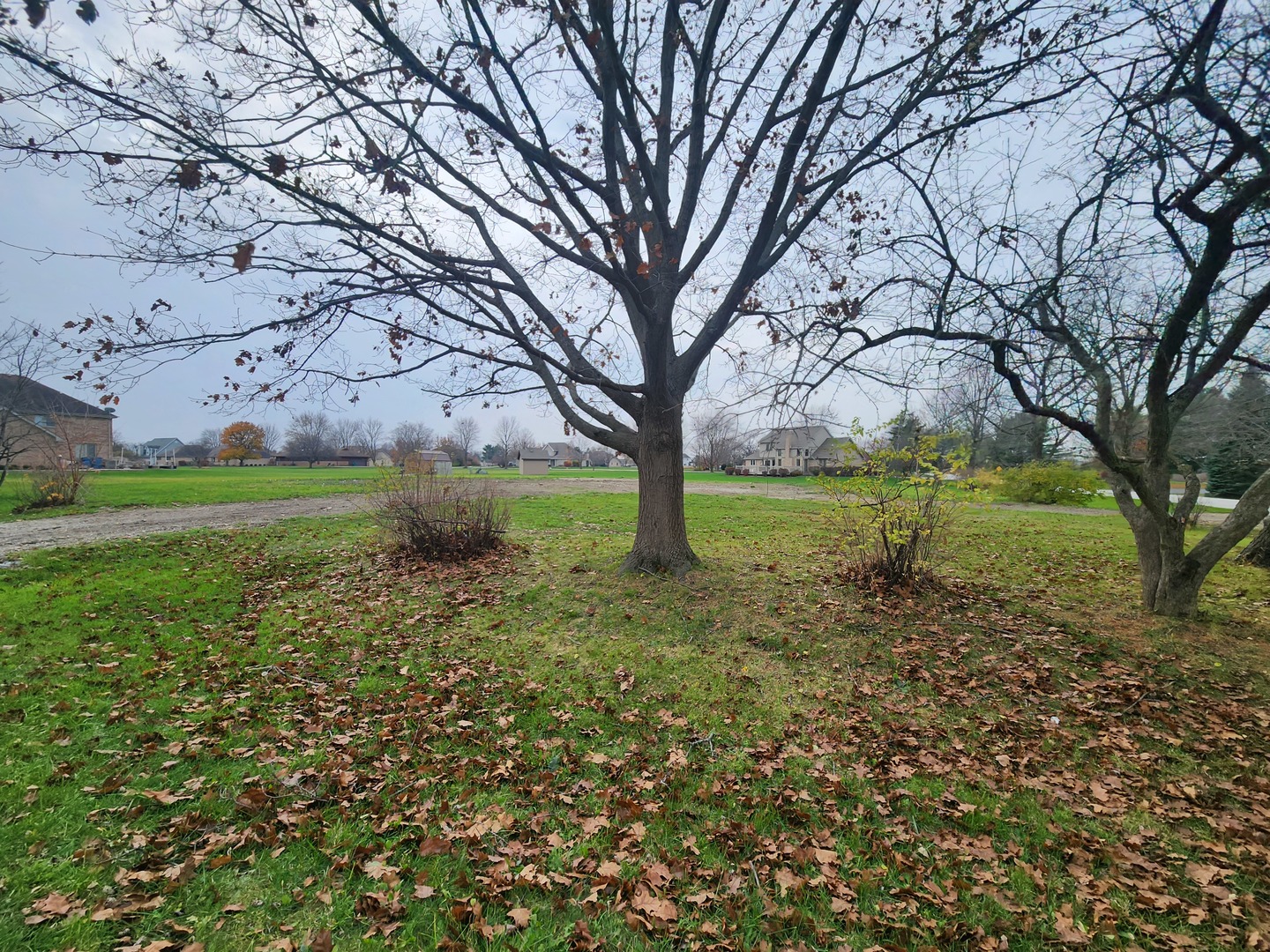 a view of outdoor space with trees all around