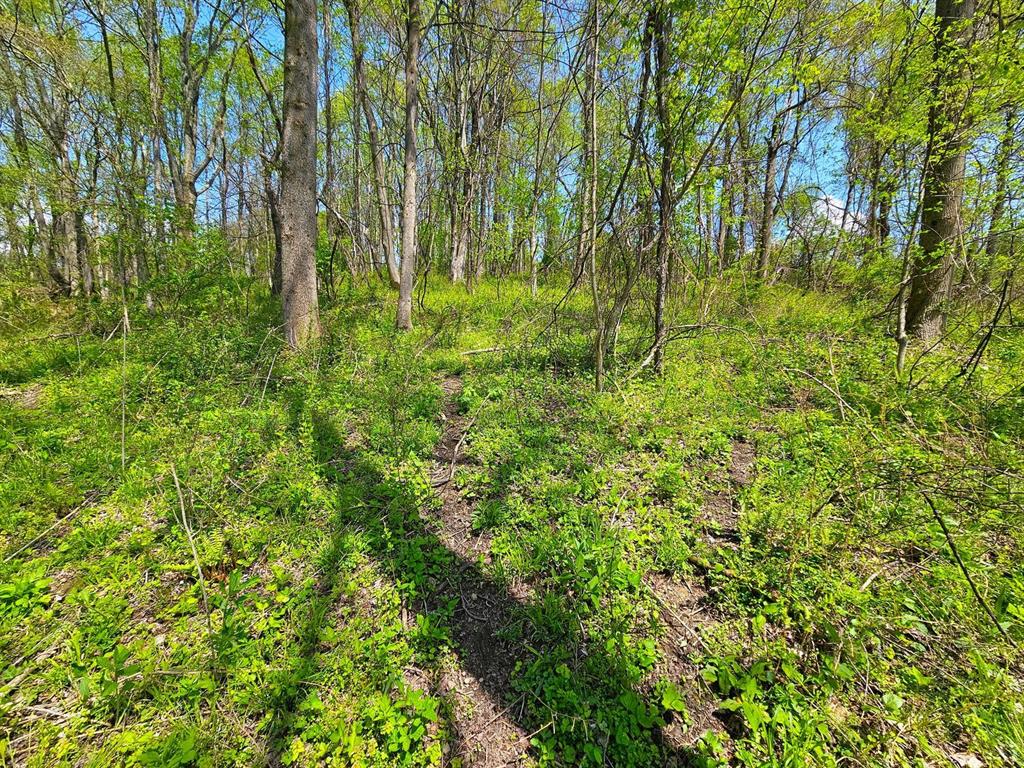950 Davis School Road Washington, PA 15301 - Photo 40 of 50 Gallery Image 40