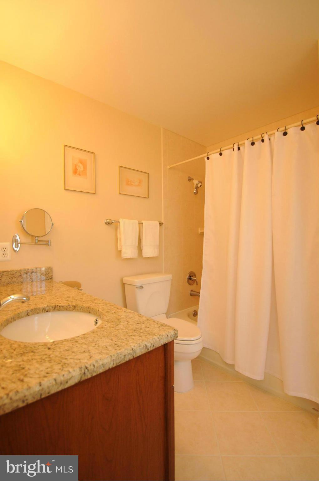 7123 Hanks Place Springfield, VA 22153 - Photo 17 of 27 Bath (Master)