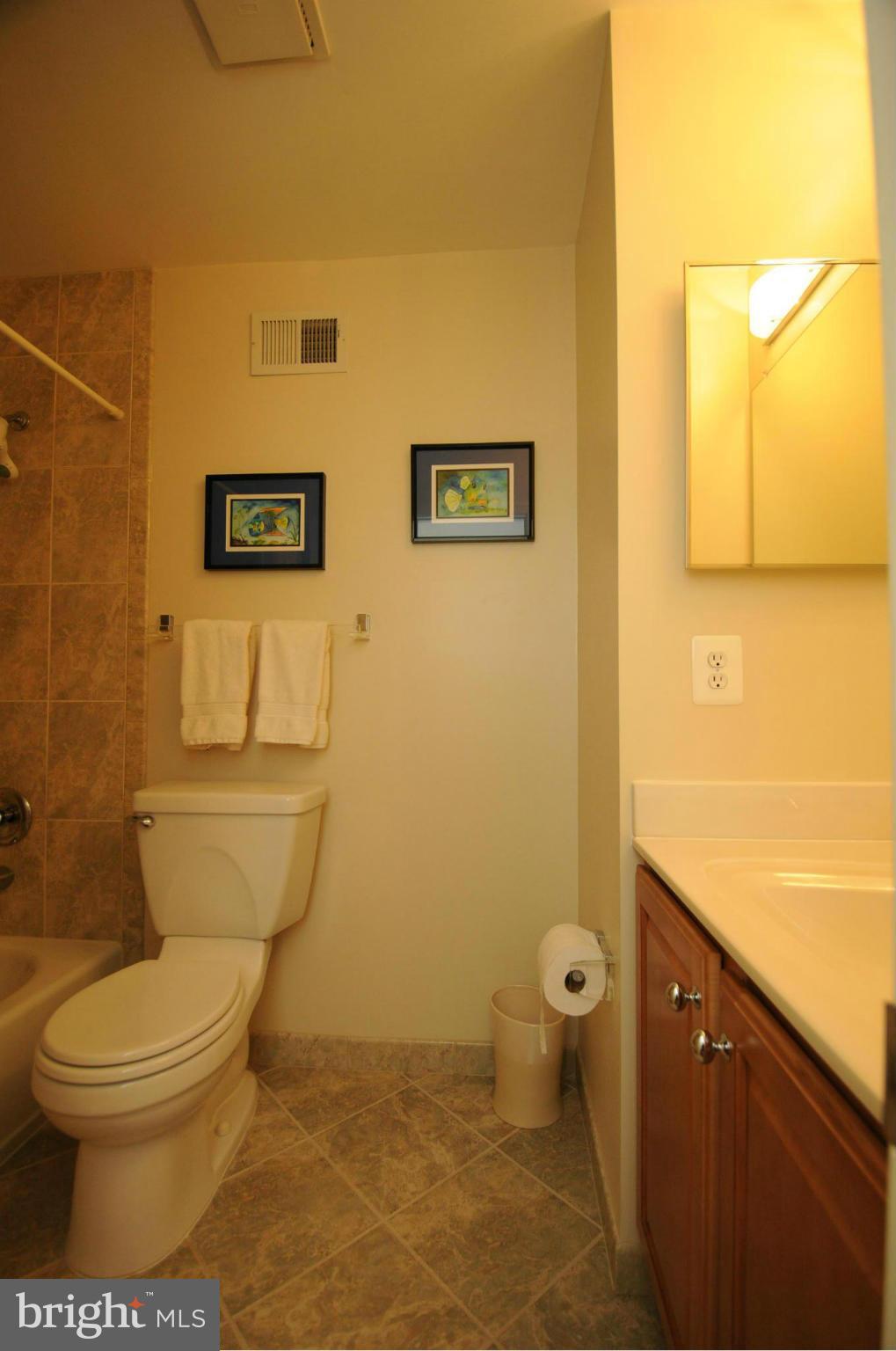 7123 Hanks Place Springfield, VA 22153 - Photo 23 of 27 Bath
