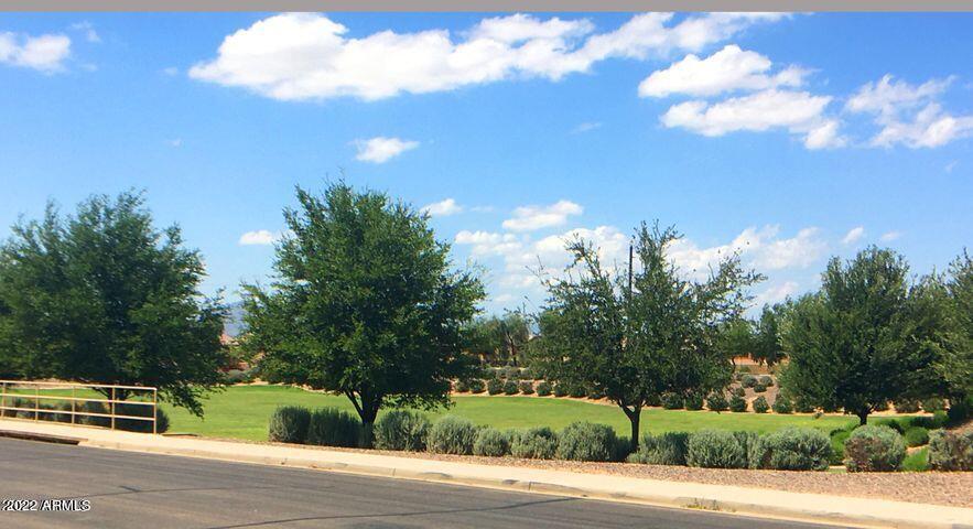 42783 West Magnolia Road Maricopa, AZ 85138 - Photo 4 of 33 View From Living Room Window