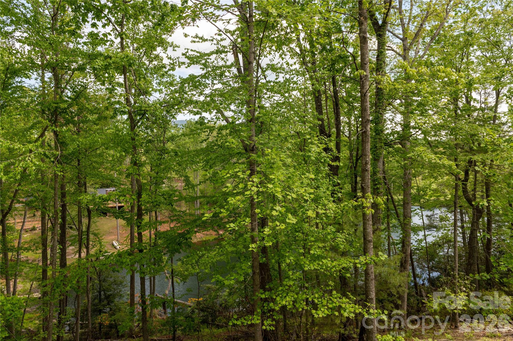 0 Deer Park Lake Road Spruce Pine, NC 28777 - Photo 7 of 24 a view of a forest