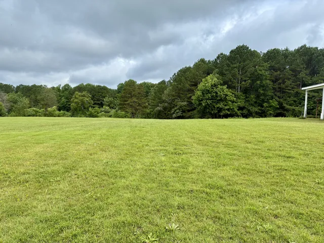 a view of a field with an trees in the background