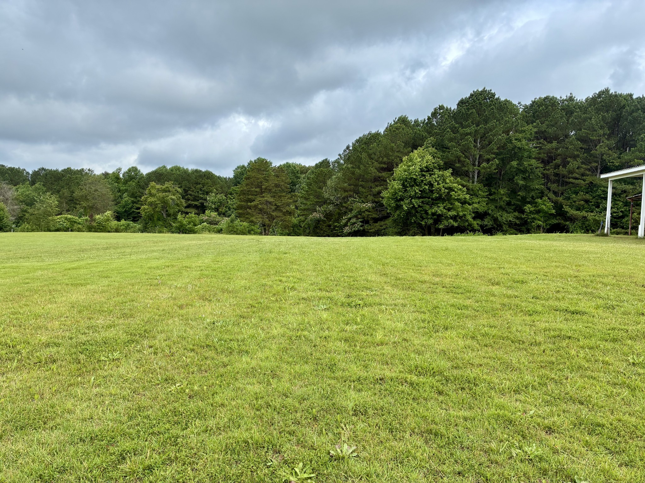 342 Second Creek Road Five Points, TN 38457 - Photo 3 of 6 a view of a field with an trees in the background