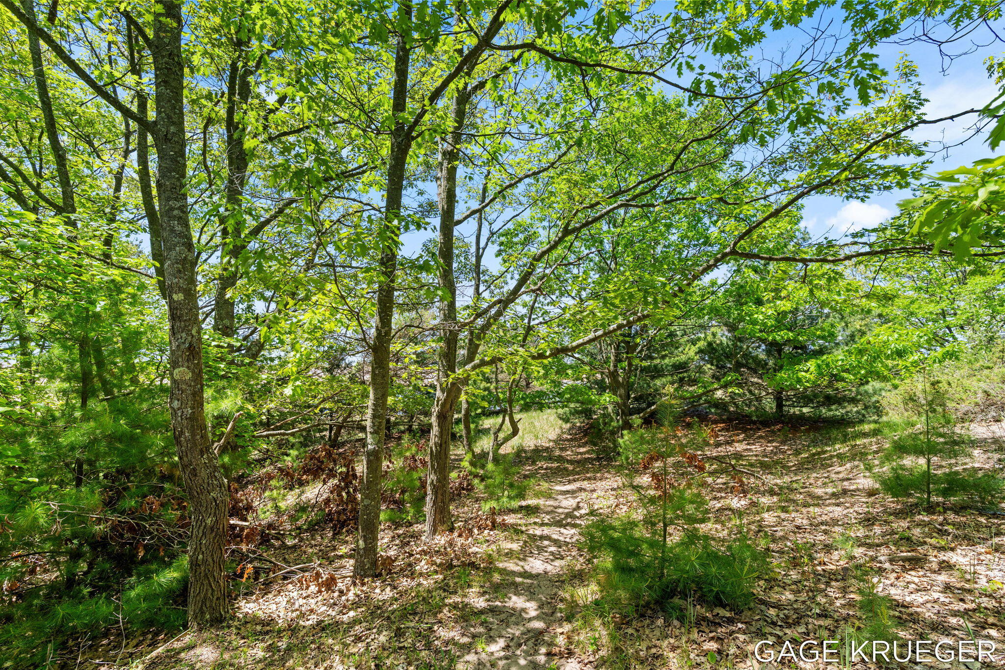 V/l West Thomas Road Shelby, MI 49455 - Photo 10 of 27 10-web-or-mls-DSC01611