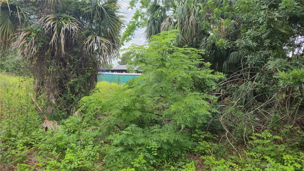 Villa Drive Hudson, FL 34667 - Photo 4 of 11 a view of a garden