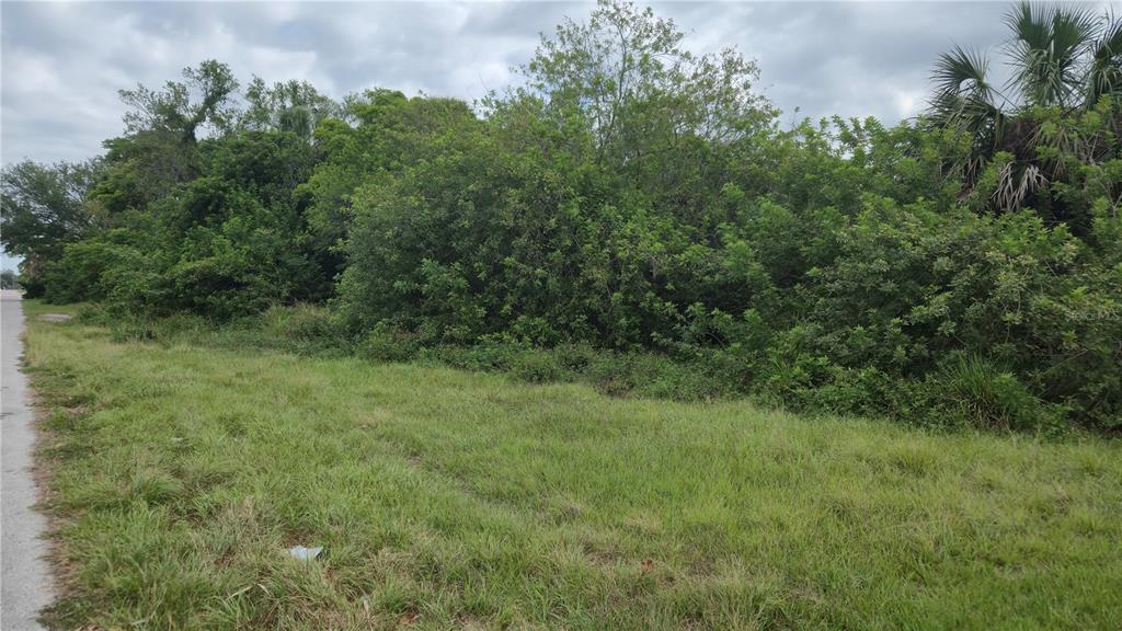 Villa Drive Hudson, FL 34667 - Photo 6 of 11 a view of a green field with lots of bushes