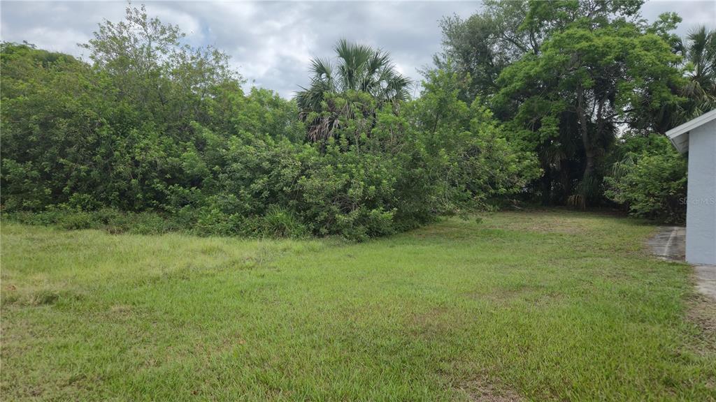 Villa Drive Hudson, FL 34667 - Photo 8 of 11 a view of a big yard with plants and large trees