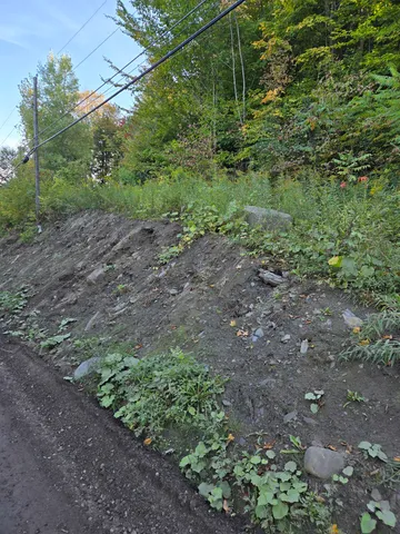 $29,000 | 124-125 Prospect Street, Unit 1230VL00 0005 1230VL0004, Barre, VT 05641