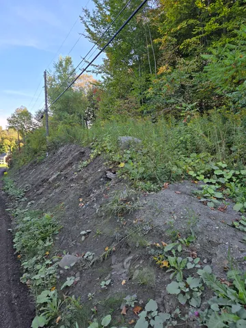 $29,000 | 124-125 Prospect Street, Unit 1230VL00 0005 1230VL0004, Barre, VT 05641