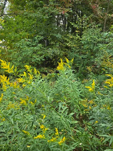 $29,000 | 124-125 Prospect Street, Unit 1230VL00 0005 1230VL0004, Barre, VT 05641