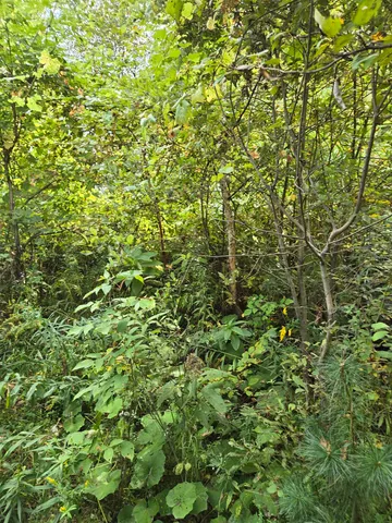 $29,000 | 124-125 Prospect Street, Unit 1230VL00 0005 1230VL0004, Barre, VT 05641