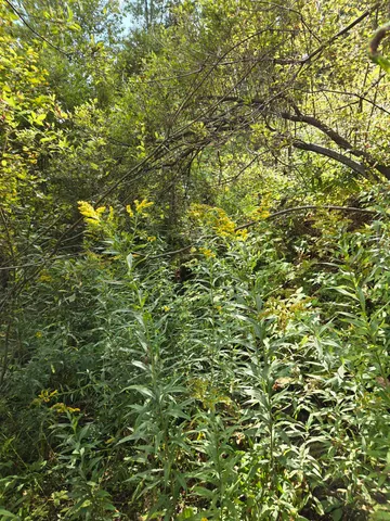 $29,000 | 124-125 Prospect Street, Unit 1230VL00 0005 1230VL0004, Barre, VT 05641