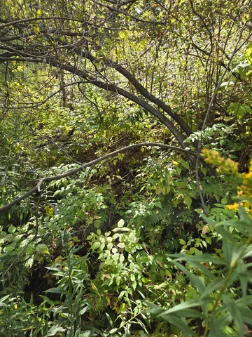 $29,000 | 124-125 Prospect Street, Unit 1230VL00 0005 1230VL0004, Barre, VT 05641