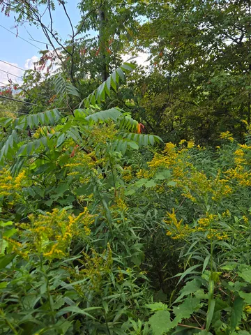 $29,000 | 124-125 Prospect Street, Unit 1230VL00 0005 1230VL0004, Barre, VT 05641