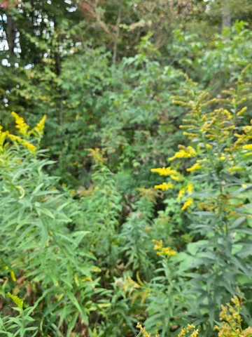 $29,000 | 124-125 Prospect Street, Unit 1230VL00 0005 1230VL0004, Barre, VT 05641