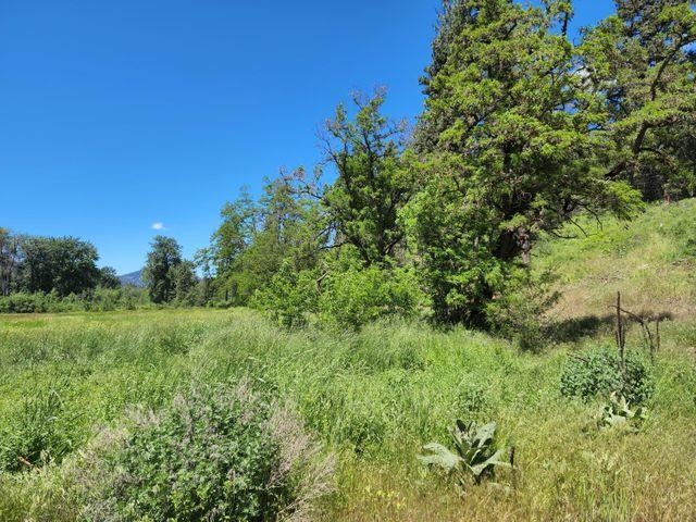2686 Hall Creek Road Inchelium, WA 99138 - Photo 7 of 19