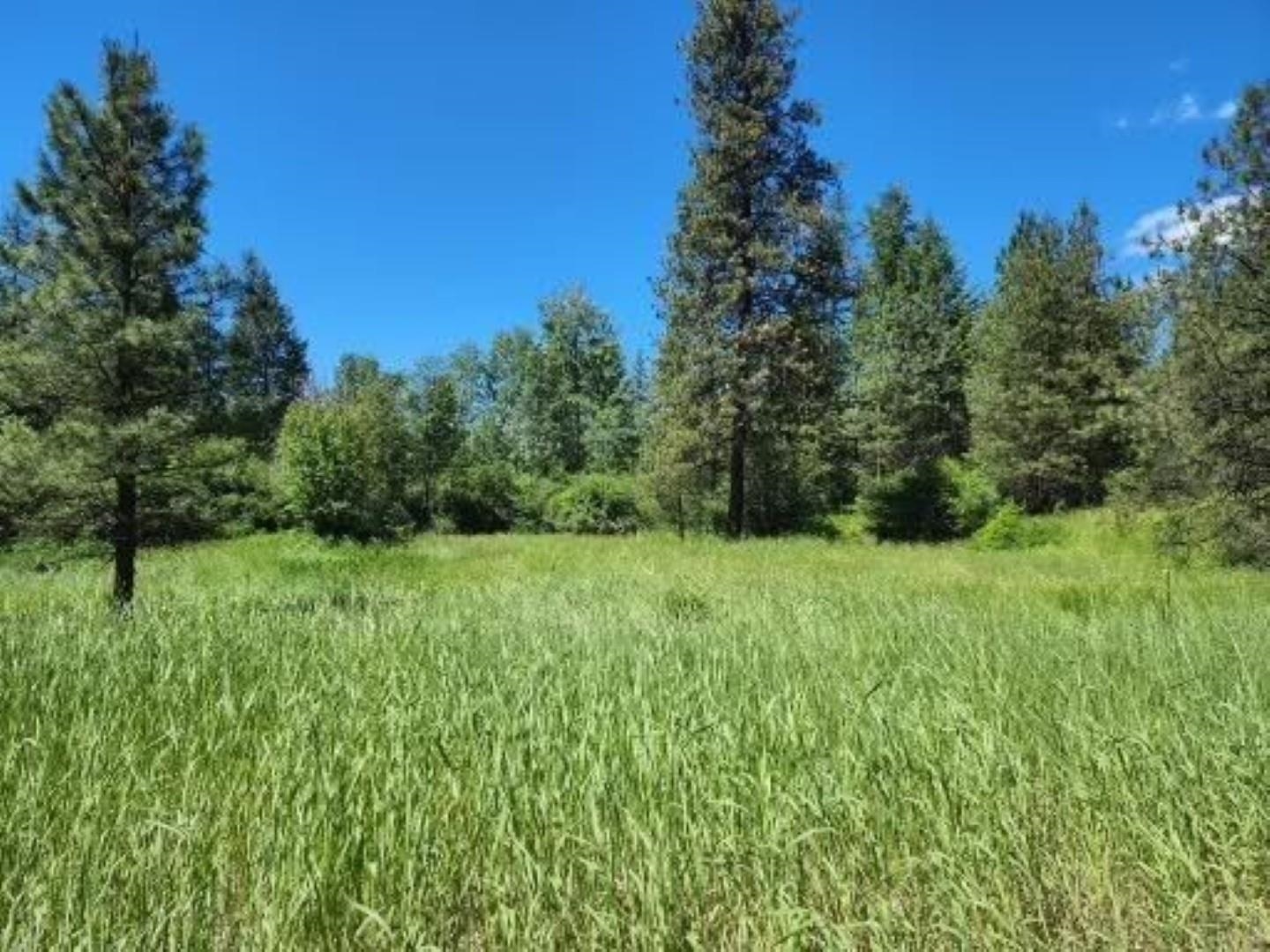 2686 Hall Creek Road Inchelium, WA 99138 - Photo 10 of 19