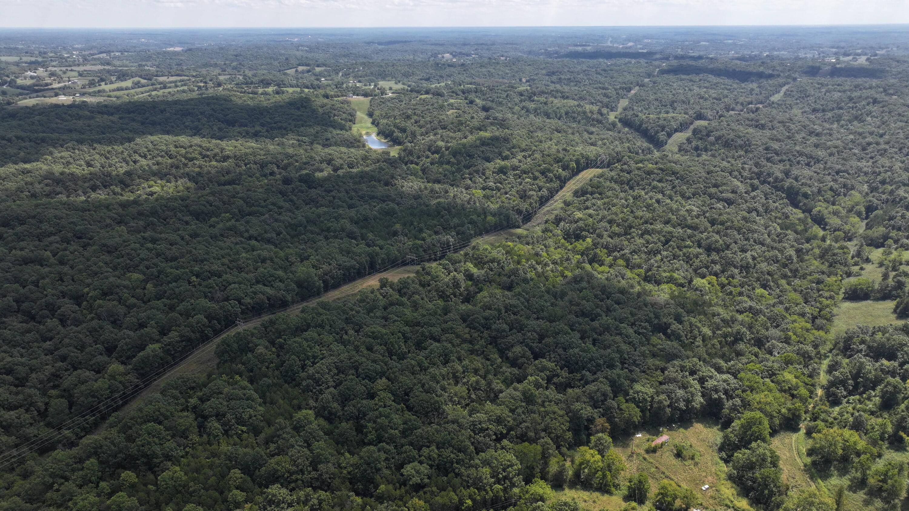 0 Caney Creek Road Owenton, KY 40359 - Photo 12 of 35