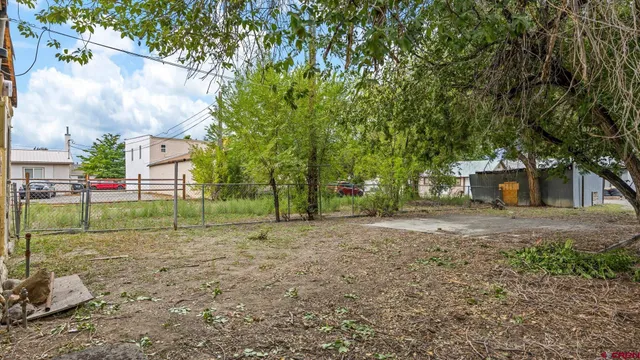 a view of a park with a large tree