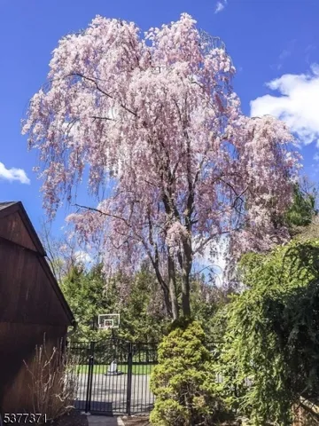 $2,850,000 | 33 Woodfield Lane, Saddle River, NJ 07458