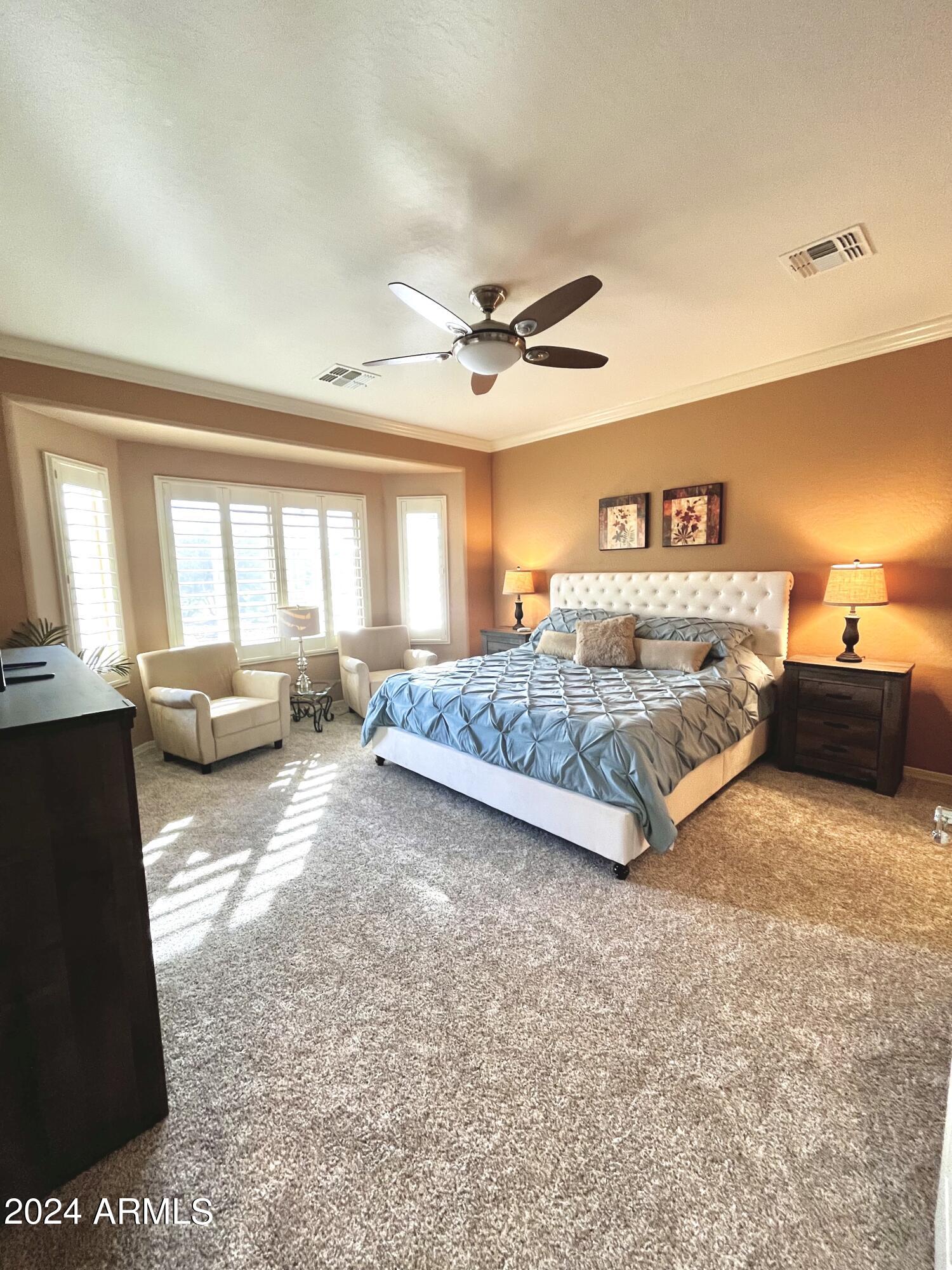 6431 West Sandpiper Way Florence, AZ 85132 - Photo 13 of 43 MasterBdrm1