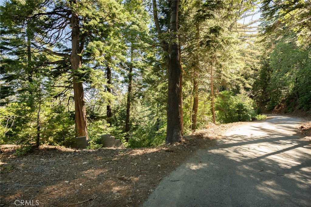 746 Blue Ridge Drive Skyforest, CA 92385 - Photo 3 of 18 Street frontage with a quiet street and only one neighbor
