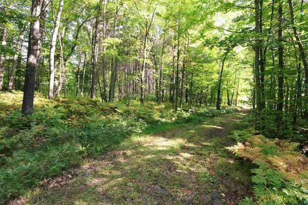 $135,000 | Xxx North 10th Avenue West, Washburn, WI 54891