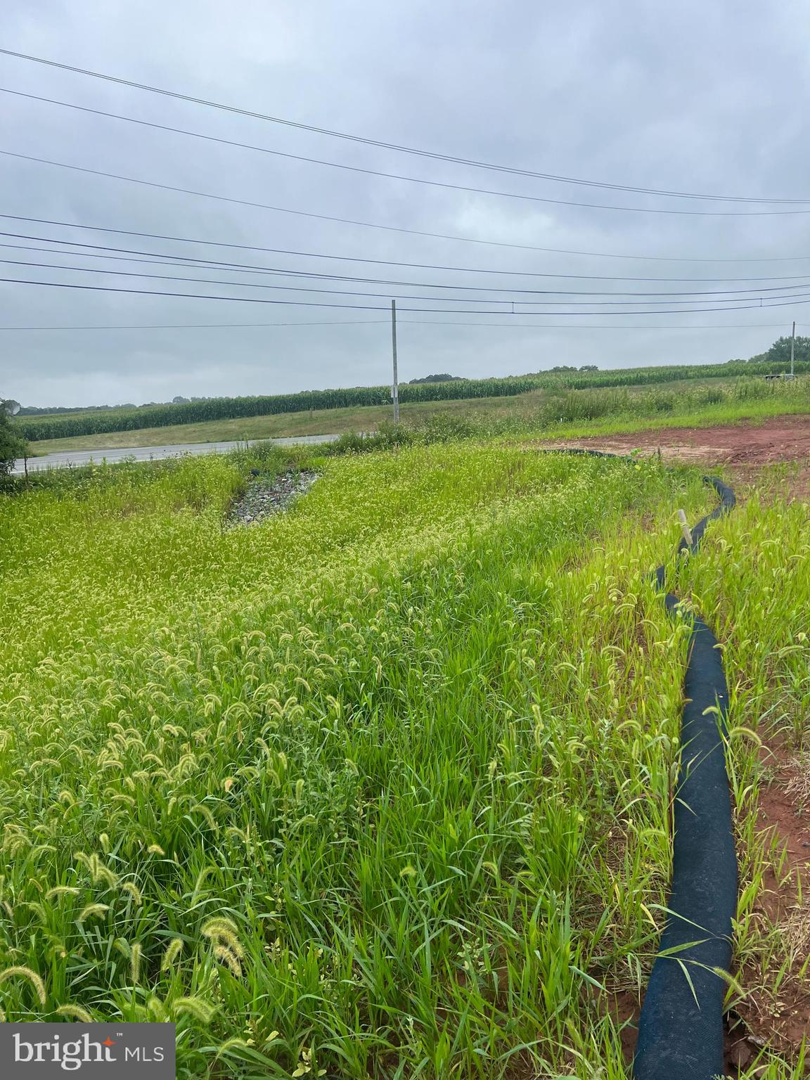 Lot #2 Elizabethtown Road Elizabethtown, PA 17022 - Photo 3 of 3 a view of a yard with an outdoor space