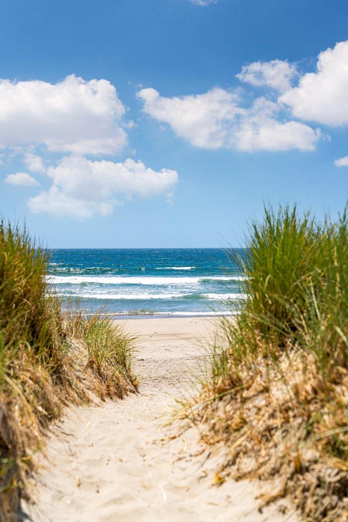 101 Shell Road, Unit 3 Watsonville, CA 95076 - Photo 23 of 31