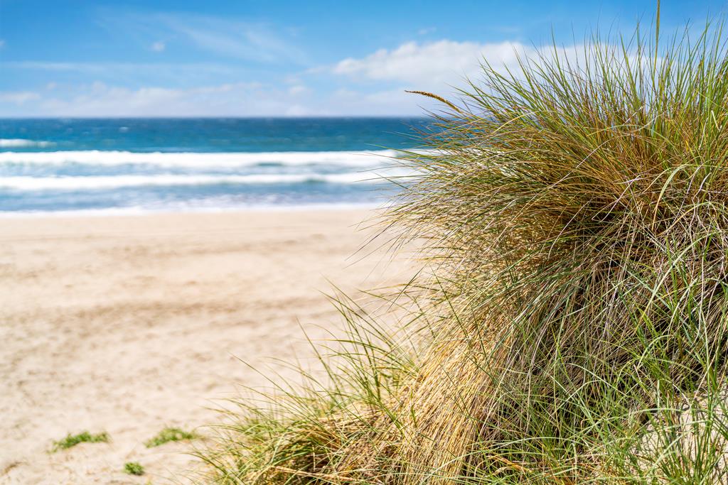 101 Shell Road, Unit 3 Watsonville, CA 95076 - Photo 24 of 31