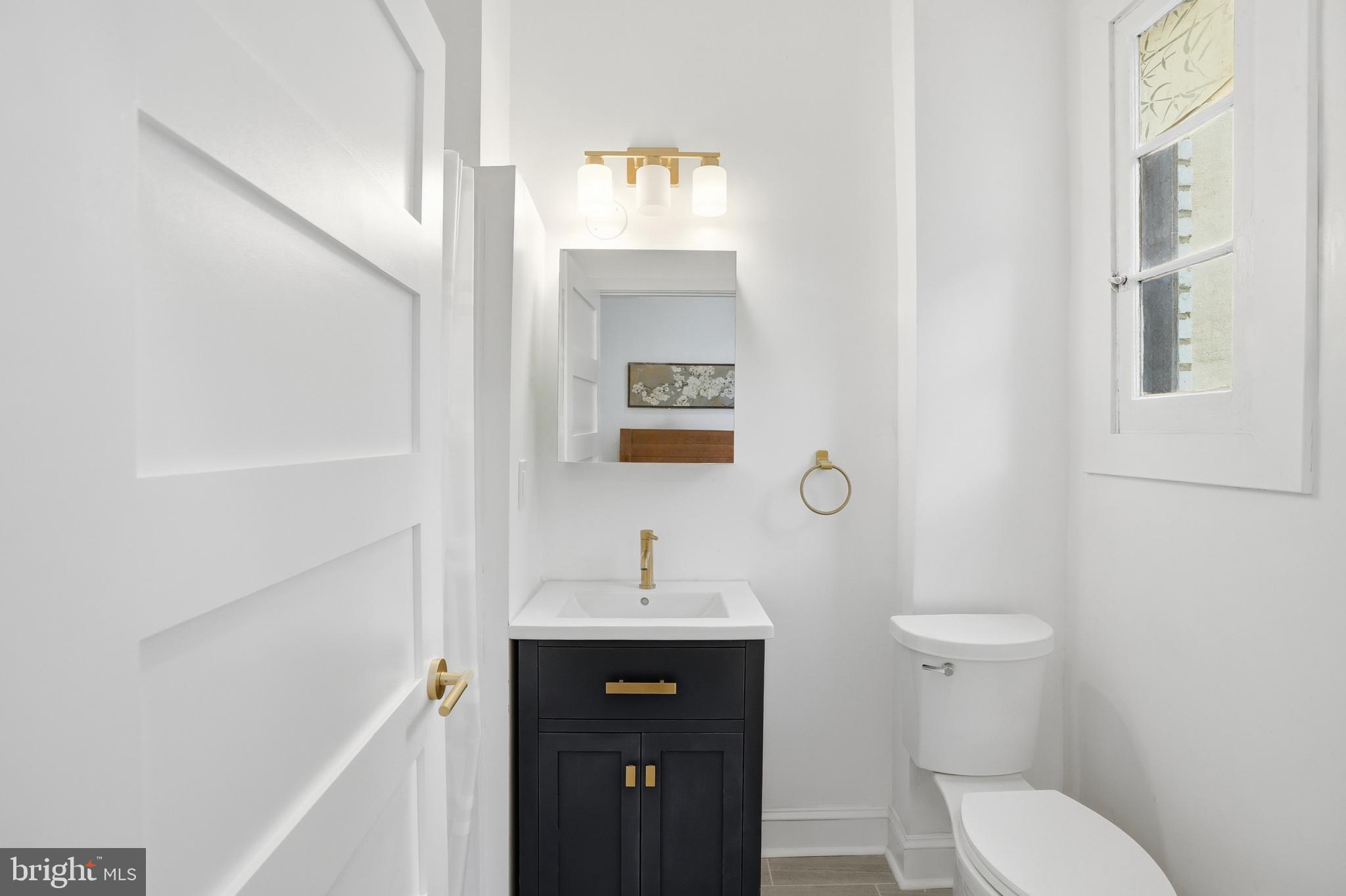 313 C Street Southeast Washington, DC 20003 - Photo 19 of 47 a bathroom with a toilet sink and mirror