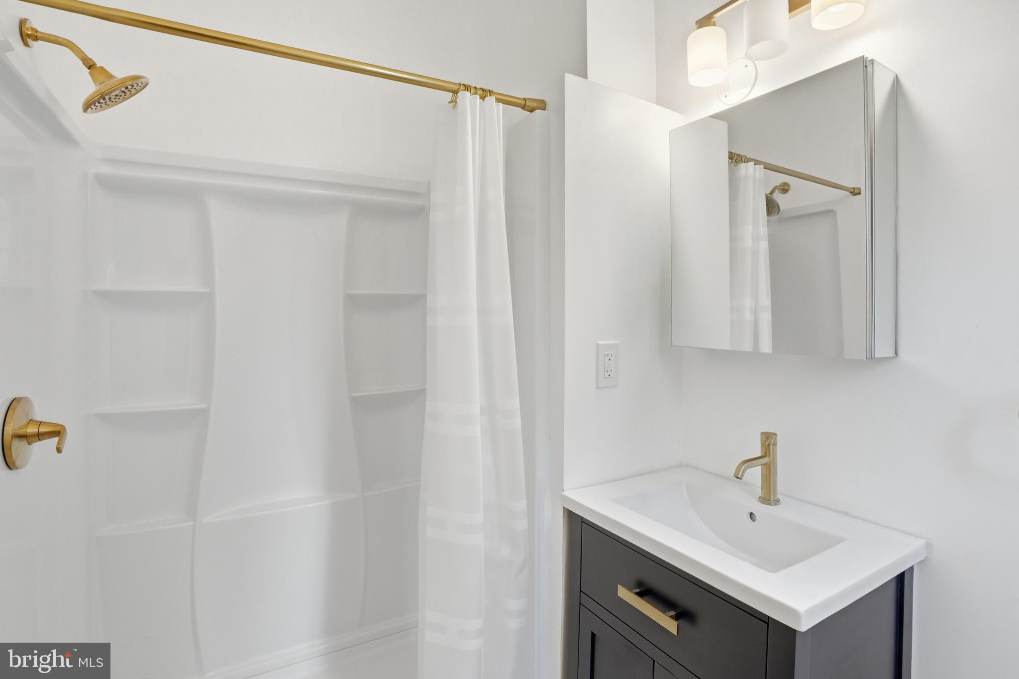 313 C Street Southeast Washington, DC 20003 - Photo 20 of 47 a bathroom with a sink a mirror and shower