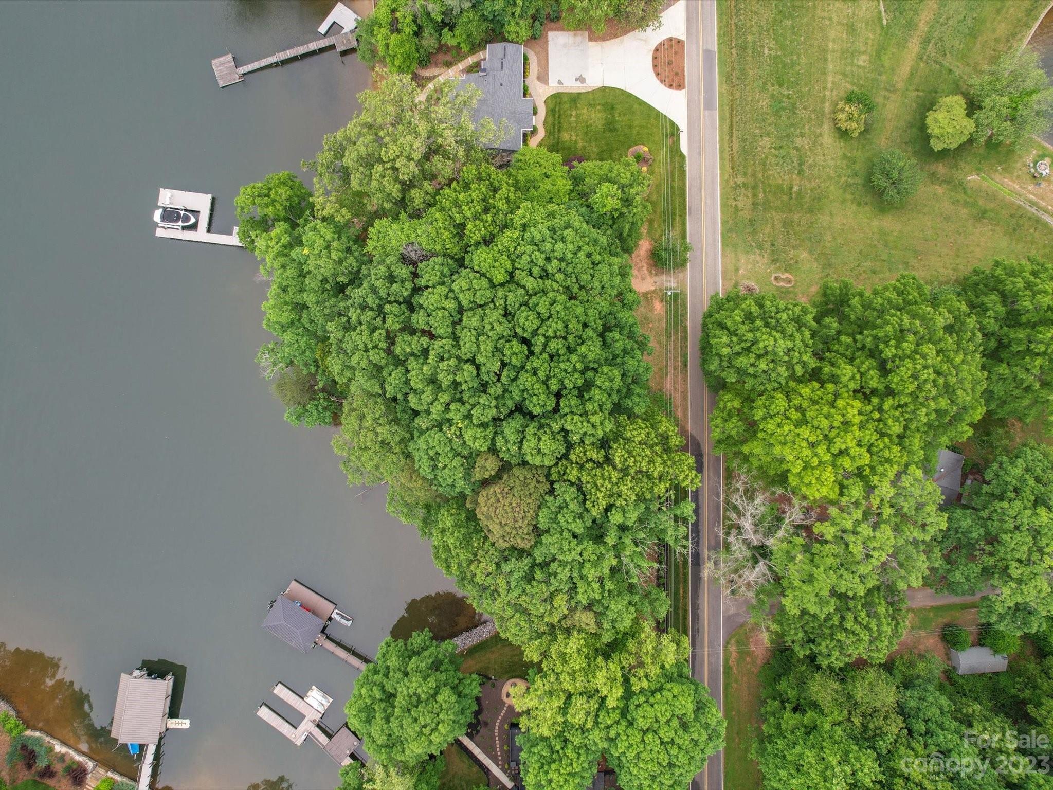 4614 Kiser Island Road Terrell, NC 28682 - Photo 13 of 28 a close up of a plant in a garden