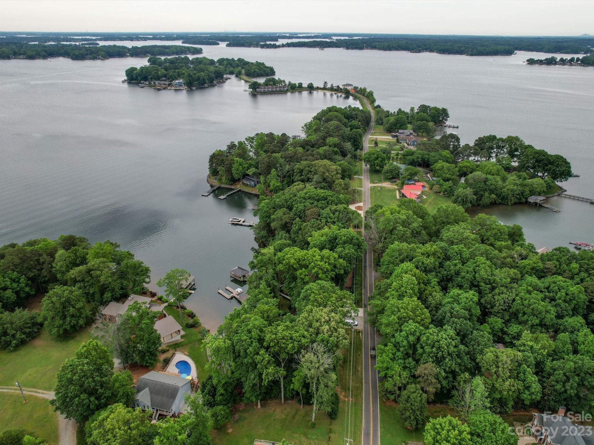 4614 Kiser Island Road Terrell, NC 28682 - Photo 18 of 28 a close up of a plant in a lake