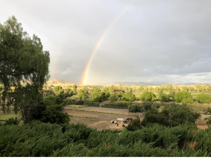 Beautiful Santa Ynez