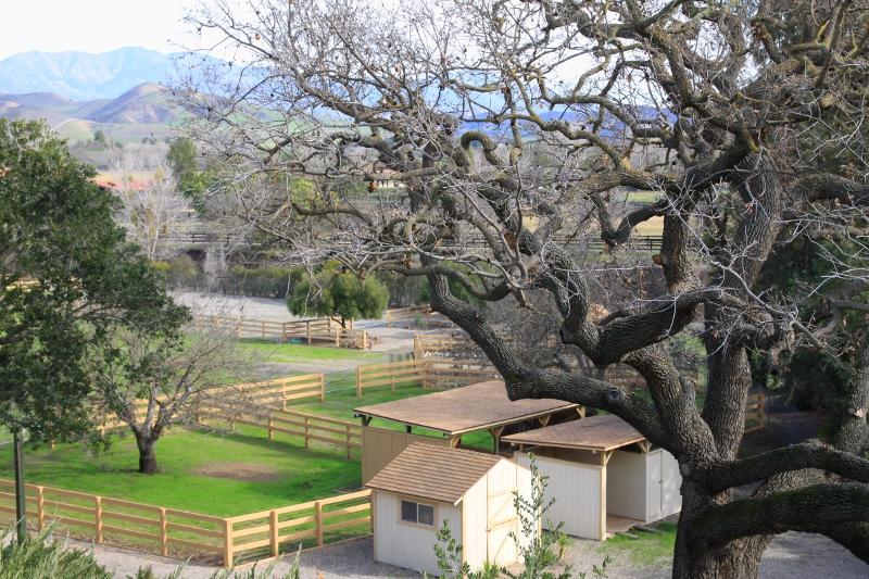 5575 Baseline Avenue Santa Ynez, CA 93460 - Photo 15 of 24 pastures