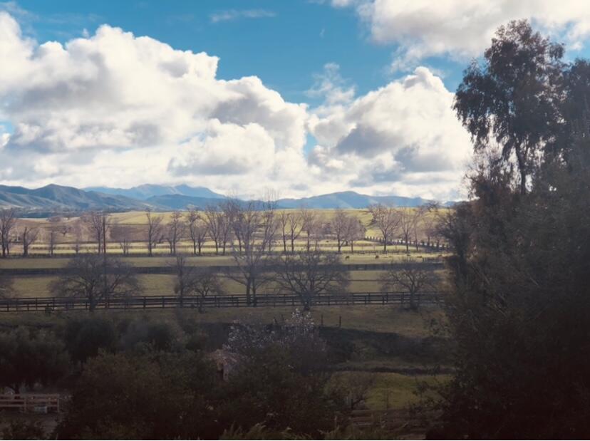 5575 Baseline Avenue Santa Ynez, CA 93460 - Photo 18 of 24 forever views