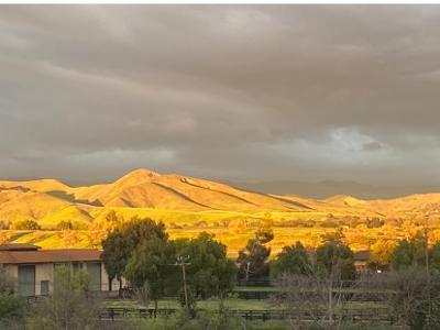 5575 Baseline Avenue Santa Ynez, CA 93460 - Photo 19 of 24 every color