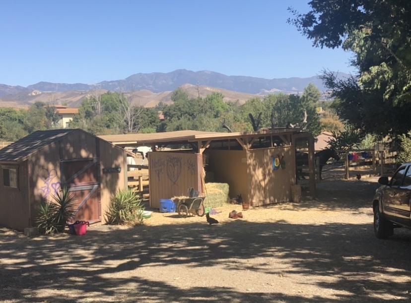 5575 Baseline Avenue Santa Ynez, CA 93460 - Photo 21 of 24 tack room