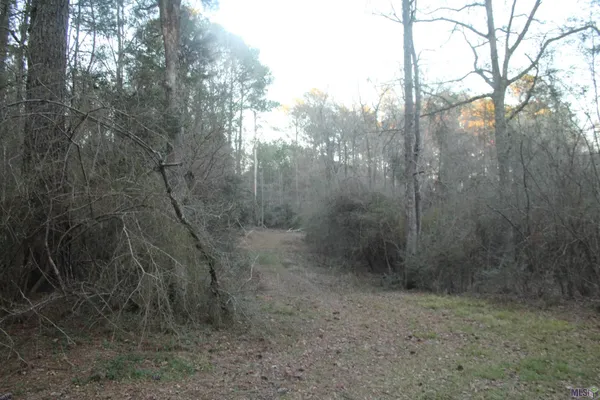 $75,000 | Tbd Odeal Williams Lane, Ethel, LA 70730