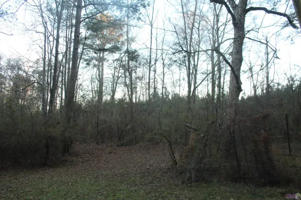 $75,000 | Tbd Odeal Williams Lane, Ethel, LA 70730