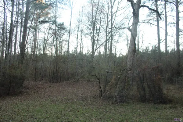 $75,000 | Tbd Odeal Williams Lane, Ethel, LA 70730