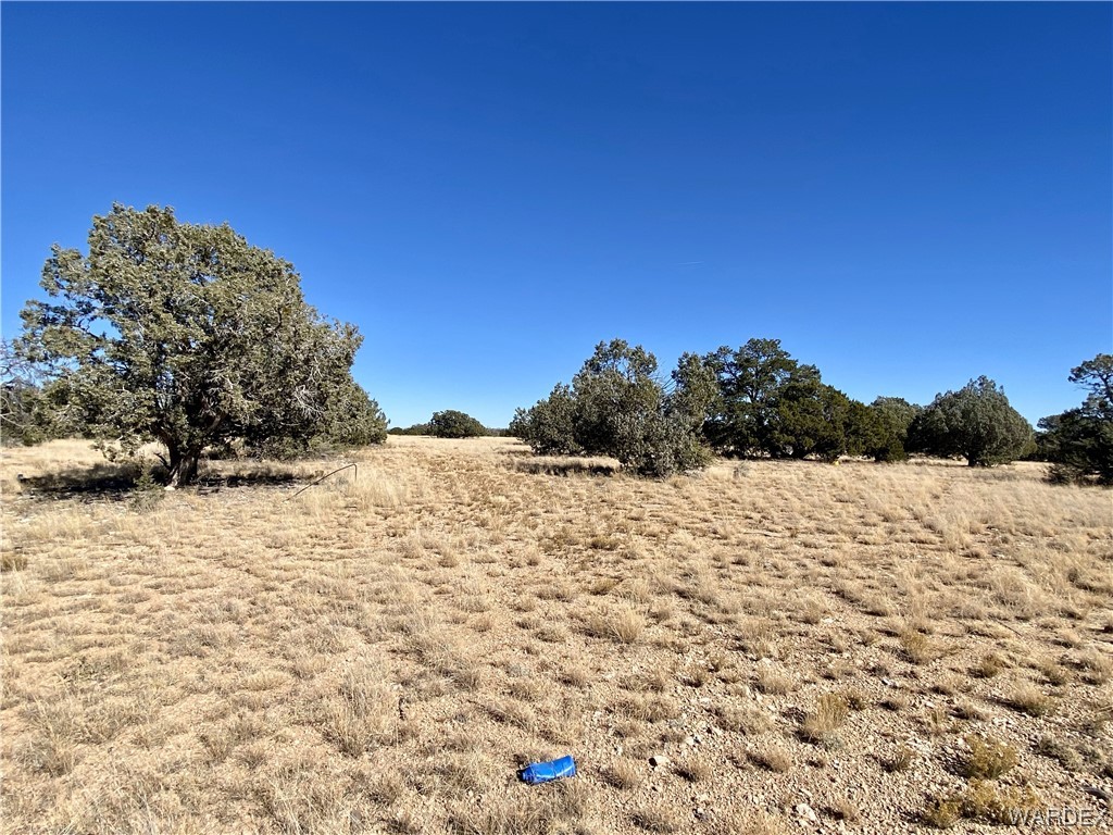 Tbd Rocky Top Road Seligman, AZ 86337 - Photo 2 of 19 Gallery Image 2