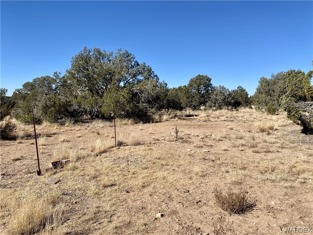 Tbd Rocky Top Road Seligman, AZ 86337 - Photo 3 of 19 Gallery Image 3