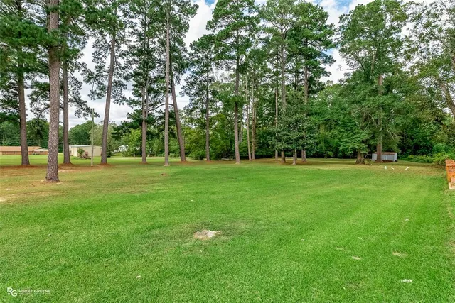 a view of a park with trees and grass